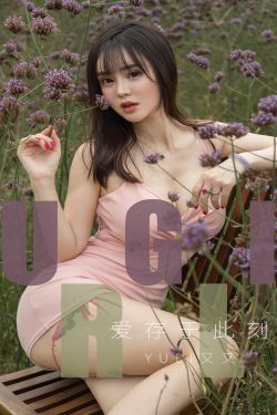 四大名捕 电视剧